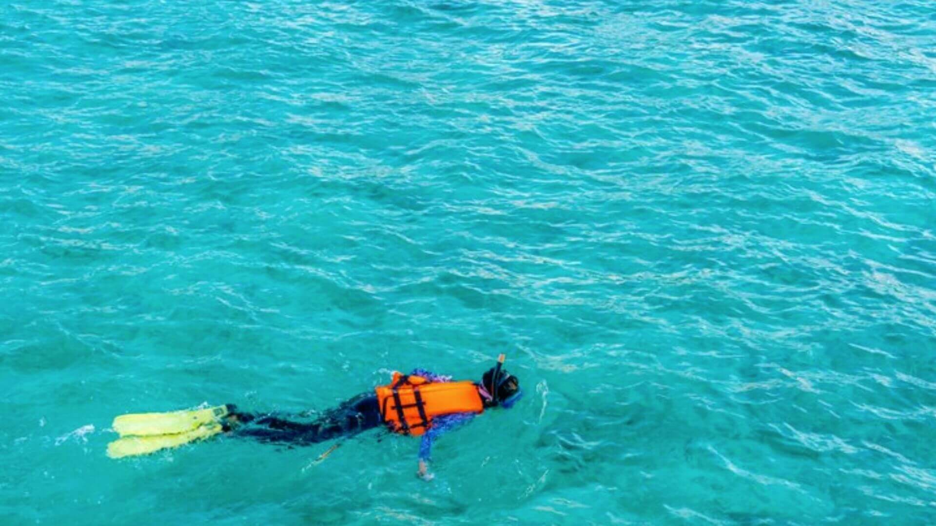 Las 20 mejores playas de snorkel en Málaga Málaga