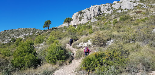 Entrada Este Monte San Antón