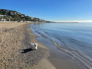 Playa de la Caleta