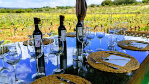 Bodega Vetas