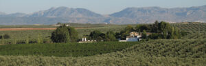 Bodega La Capuchina