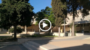 Facultad de Medicina