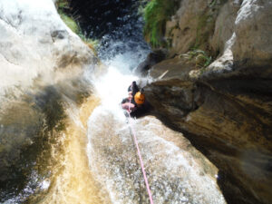 Pangea Active Nature