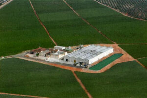 BODEGAS MALAGA VIRGEN S.A.U.