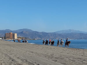Playa nudista Guadalmar