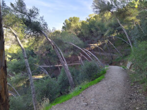 Sendero al Mirador de la Costa