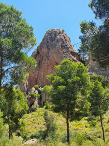 Cresta del Gallo