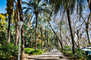 Parque de Málaga