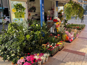 Floristería el nieto