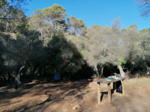 Zona de Acampada Controlada de Torrijos