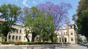 IES La Rosaleda