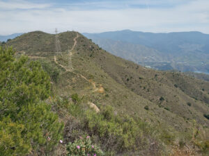 Pico Alcuza