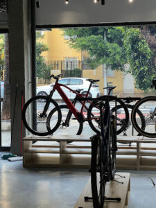 Reyna Ciclismo