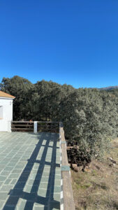 Camping Municipal Conejeras