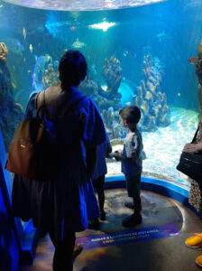 Sea Life Benalmádena