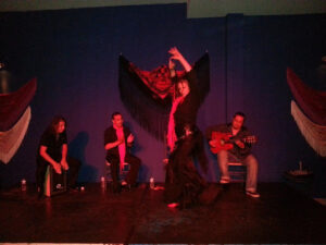 Flamenco shows in Malaga