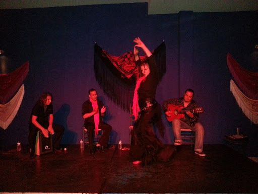 Flamenco shows in Malaga