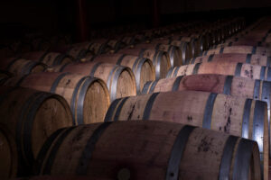 Bodegas Excelencia