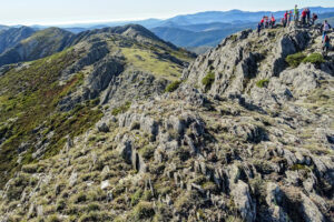 Cresta del Dragón