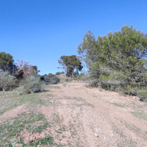 Pico Viento
