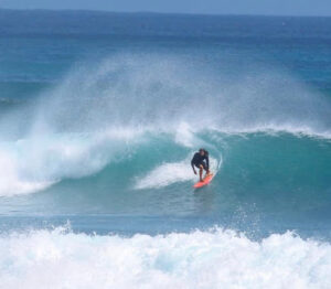NATIVE SURFBOARDS