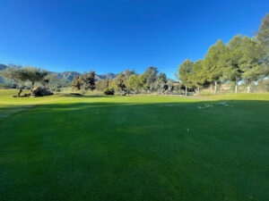 Lauro Golf S A