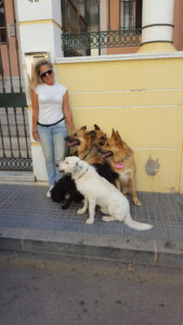 Centro Veterinario El Perro Andaluz