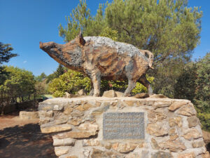 Mirador Del Cochino