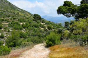 Cerro de San Antón