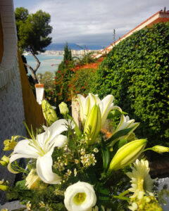 Agapanthus Flower Shop & Events