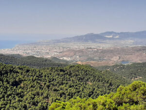 Mirador Del Cochino