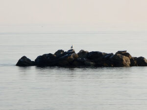 Isla de" La Cala del Moral".