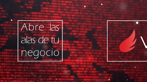 VICARO Marketing