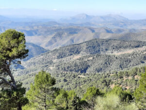 Parque Natural Montes de Málaga