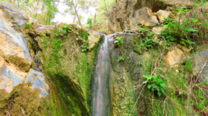 Inicio Sendero Picapedreros