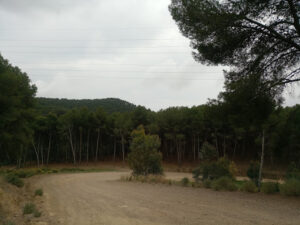 Inicio Sendero Picapedreros