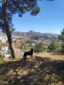 Sendero al Mirador de la Costa
