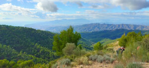 Parque Natural Montes de Málaga