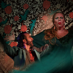 Alegría Flamenco y Gastronomia