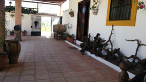 Bodega García Hidalgo