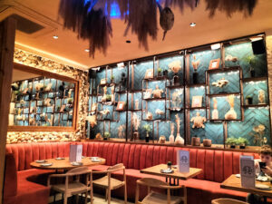 Kraken Bar de tapas Centro de Málaga