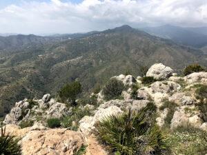 Cerro de San Antón