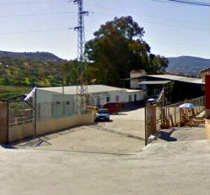 Aceite Puente Don Manuel