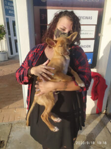 Clínica Veterinaria Málaga