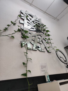 Peluqueria Málaga Centro