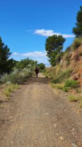 Inicio Sendero Picapedreros