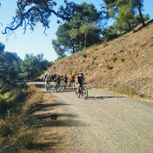 bike2malaga – bike rental, bike tours & workshop