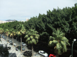 Casavida Inmobiliaria