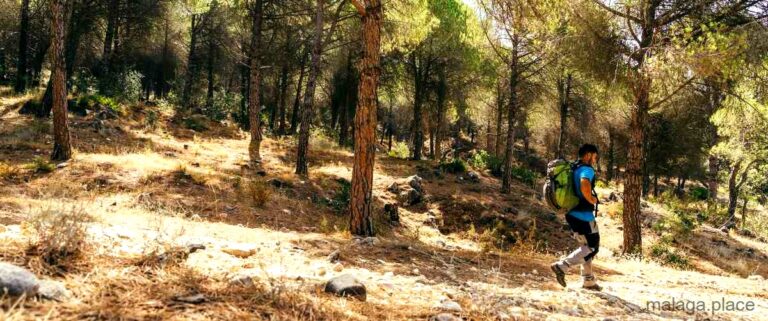 Las 4 mejores rutas 4×4 en Málaga