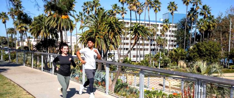 Las 20 mejores empresas de trabajo temporal (ETT) en Málaga